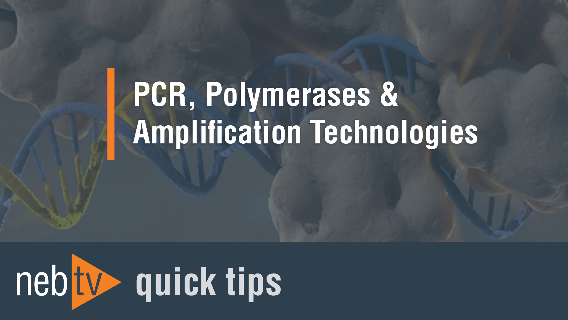 Why is Tm Important in Primer Design? NEB