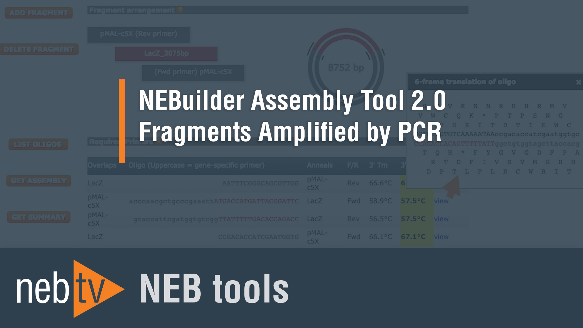 NEB® Primer Design Tools | NEB
