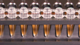 CB Magnetic Beads Separator Rack For 1.5-2mL Tubes – DNA/Protein Purification, MBS04