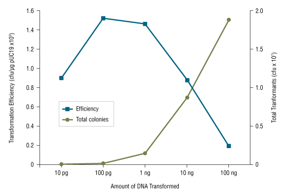 DNA Effects on Transformation Efficiency and Colony Output: 