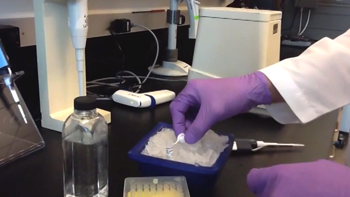 Quick Tips - Why is there precipitate in my T4 DNA ligase buffer? | NEB