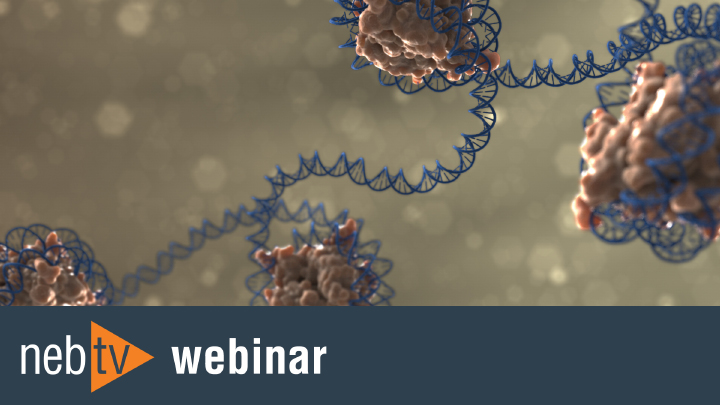 Quick Tips - Why is there precipitate in my T4 DNA ligase buffer? | NEB