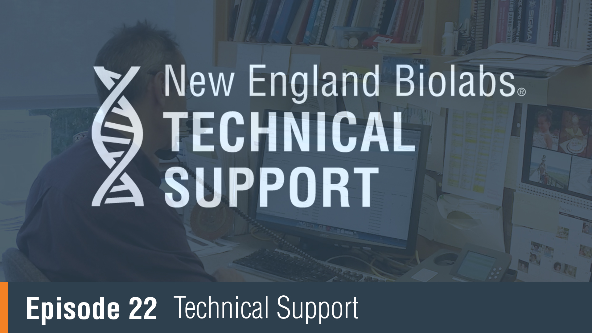 NEBuilder Assembly Tool 2.0 Fragments Amplified by PCR | NEB