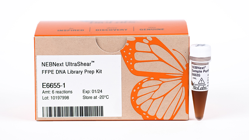 NEBNext UltraShear® FFPE DNA Library Prep Kit | NEB