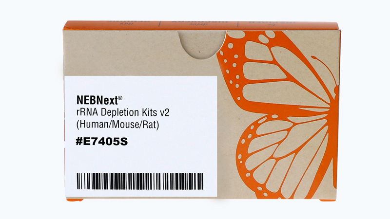 NEBNext® rRNA Depletion Kit v2 (Human/Mouse/Rat) with RNA
