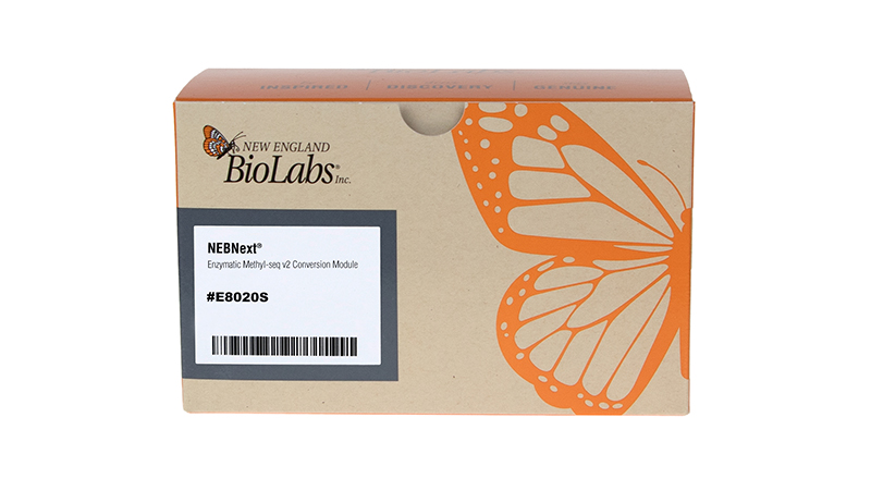 NEBNext® Enzymatic Methyl-seq v2 Conversion Module | NEB