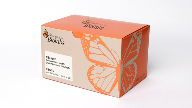 MTG 英語 GRN RNA 1個ずつ 未開封BOXまとめ売り2個セット トレカライン難波駅前店 on X: 