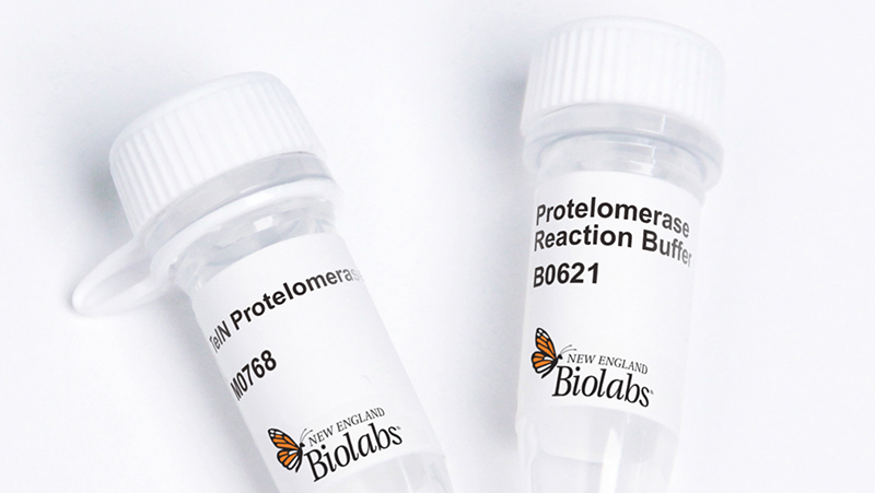 New Products | NEB