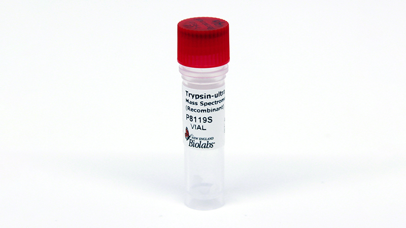 Protein Deglycosylation Mix II | NEB