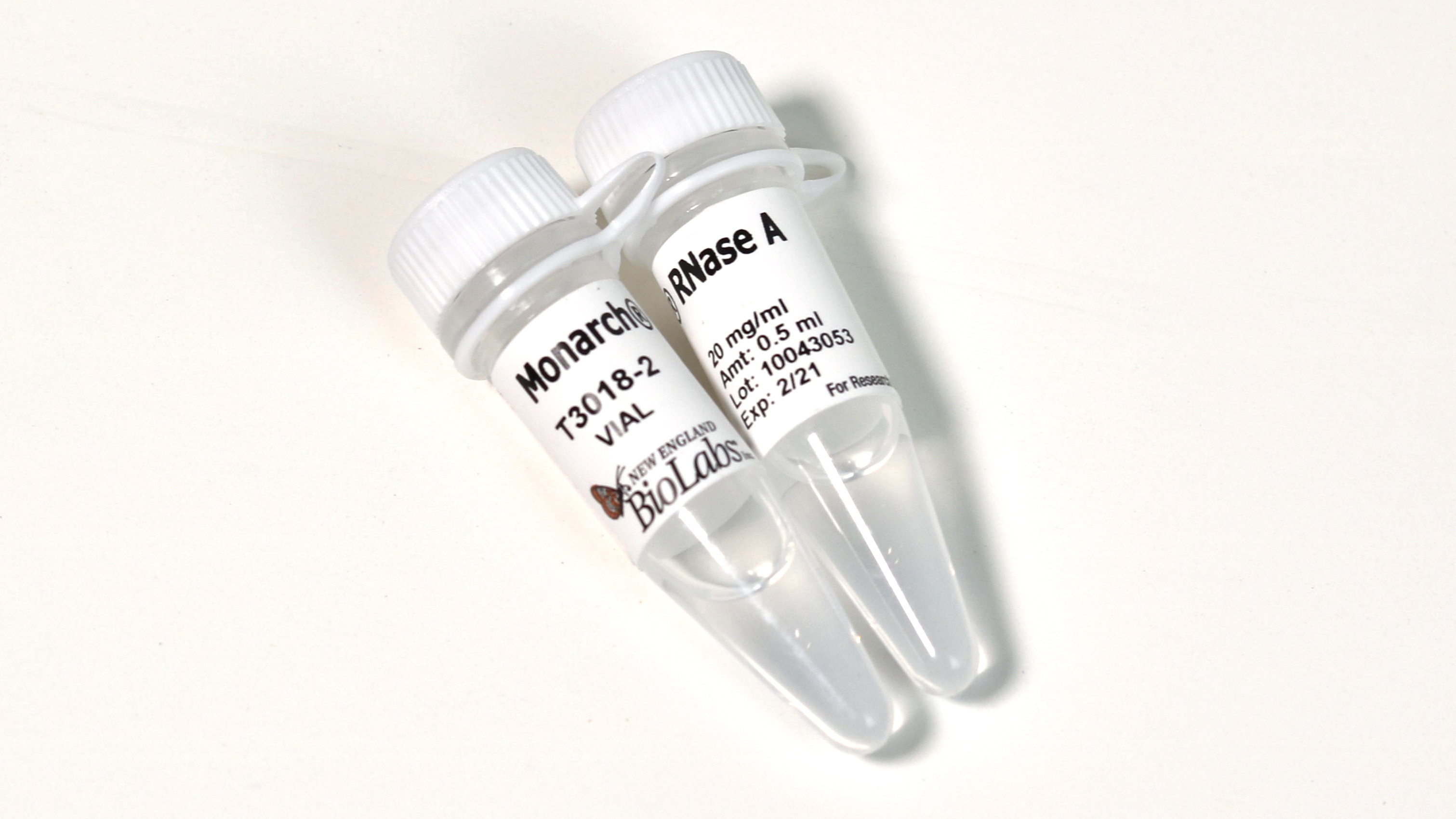 Monarch® RNase A | NEB