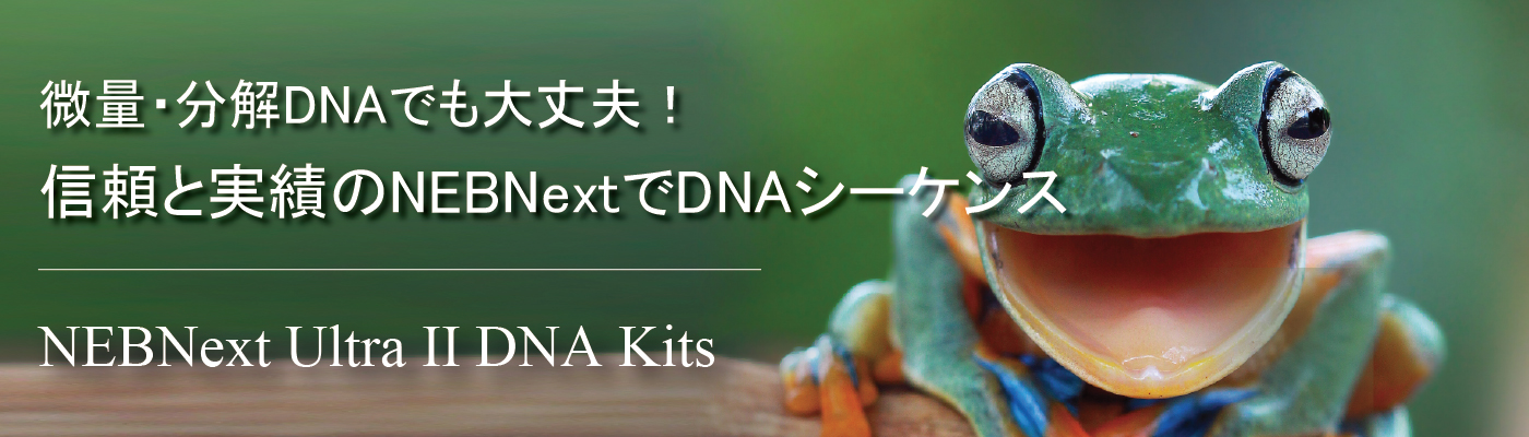 にエヌメリーと專用 NEBNext® Ultra™ II for DNA Library Prep | NEB