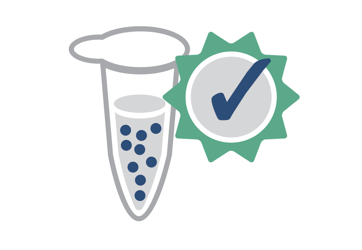 Proven tips for PCR primer design NEB