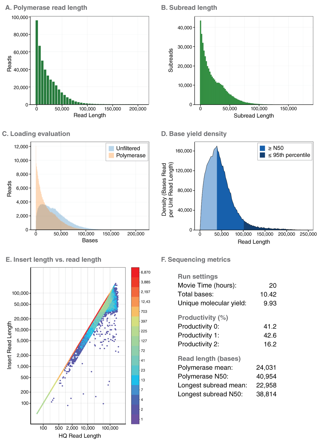 High Molecular Weight DNA Extraction NEB