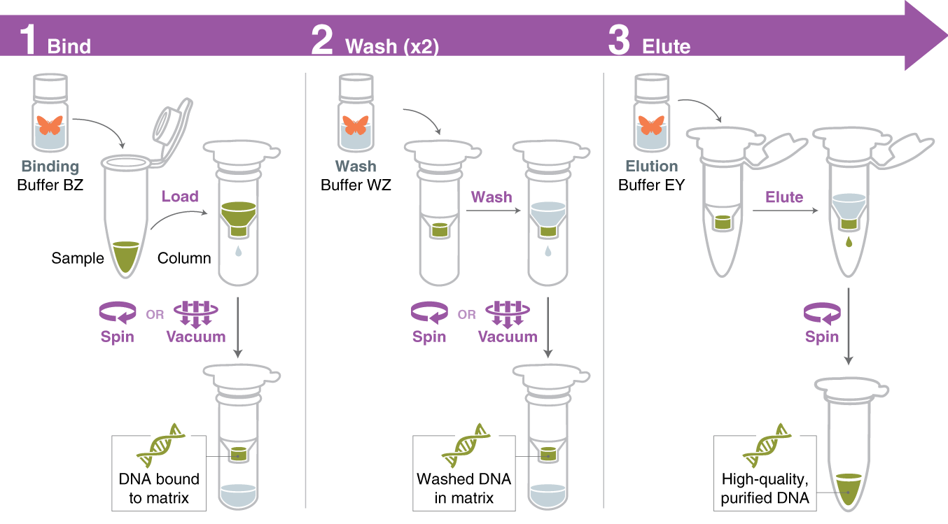 Monarch® Spin PCR and DNA Cleanup Kit (5 μg) | NEB
