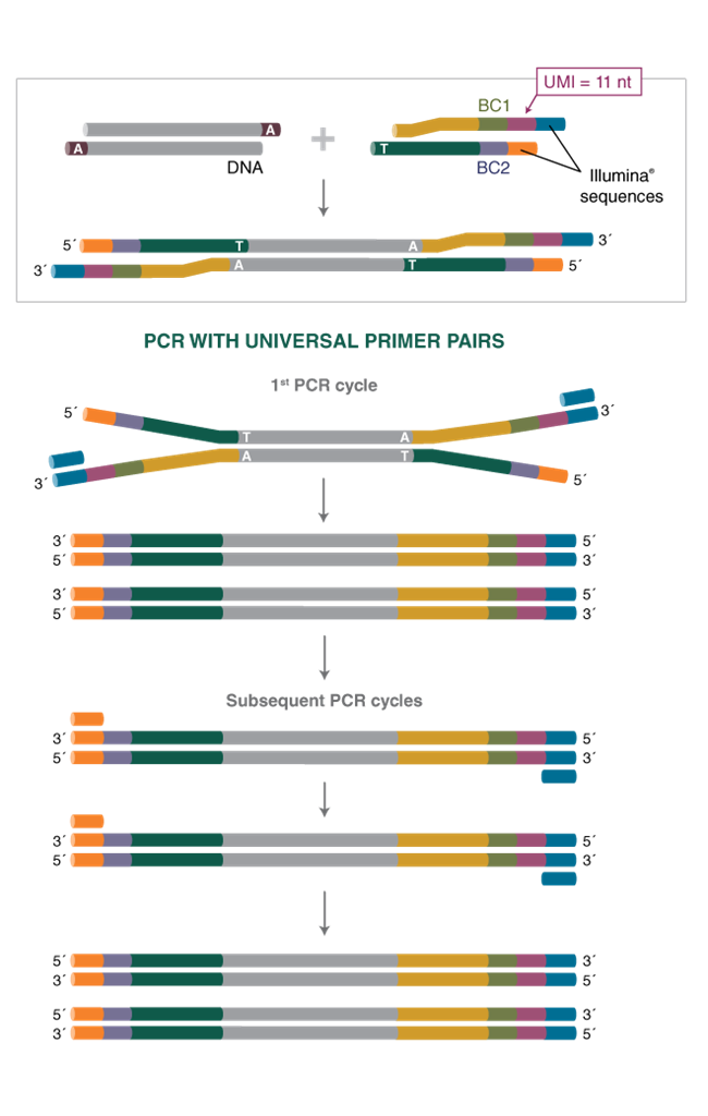Multiplex Guide Rna NEBNext® Multiplex Oligos for Illumina (Unique Dual Index UMI Adaptors ...