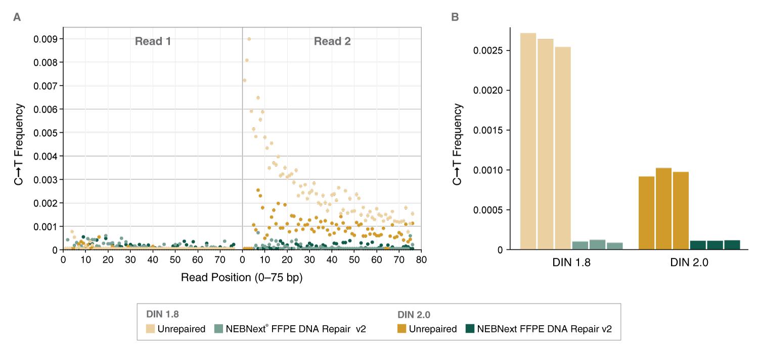 NEBNext FFPE DNA Repair v2 Module | NEB