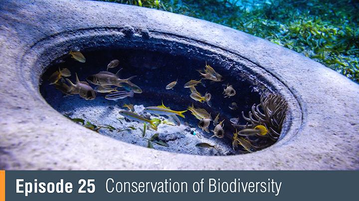 Environmental Commitment | NEB