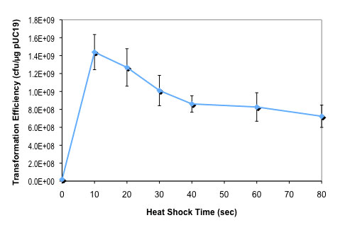 Effect of heat shock time on T7 Express Crystal competent E. coli transformation efficiency 