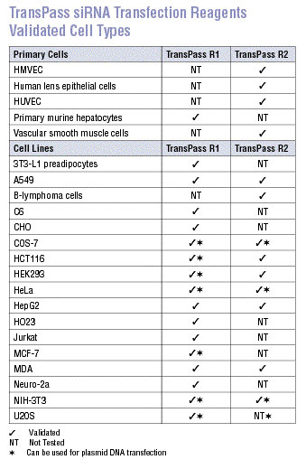 transpass r2 transfection reagent neb