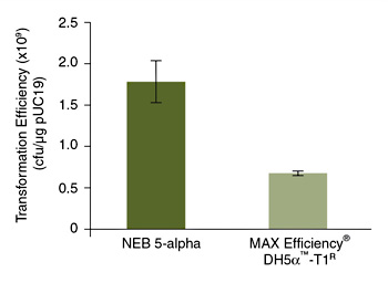 Benefit from the high transformation efficiencies of NEB 5-alpha: 