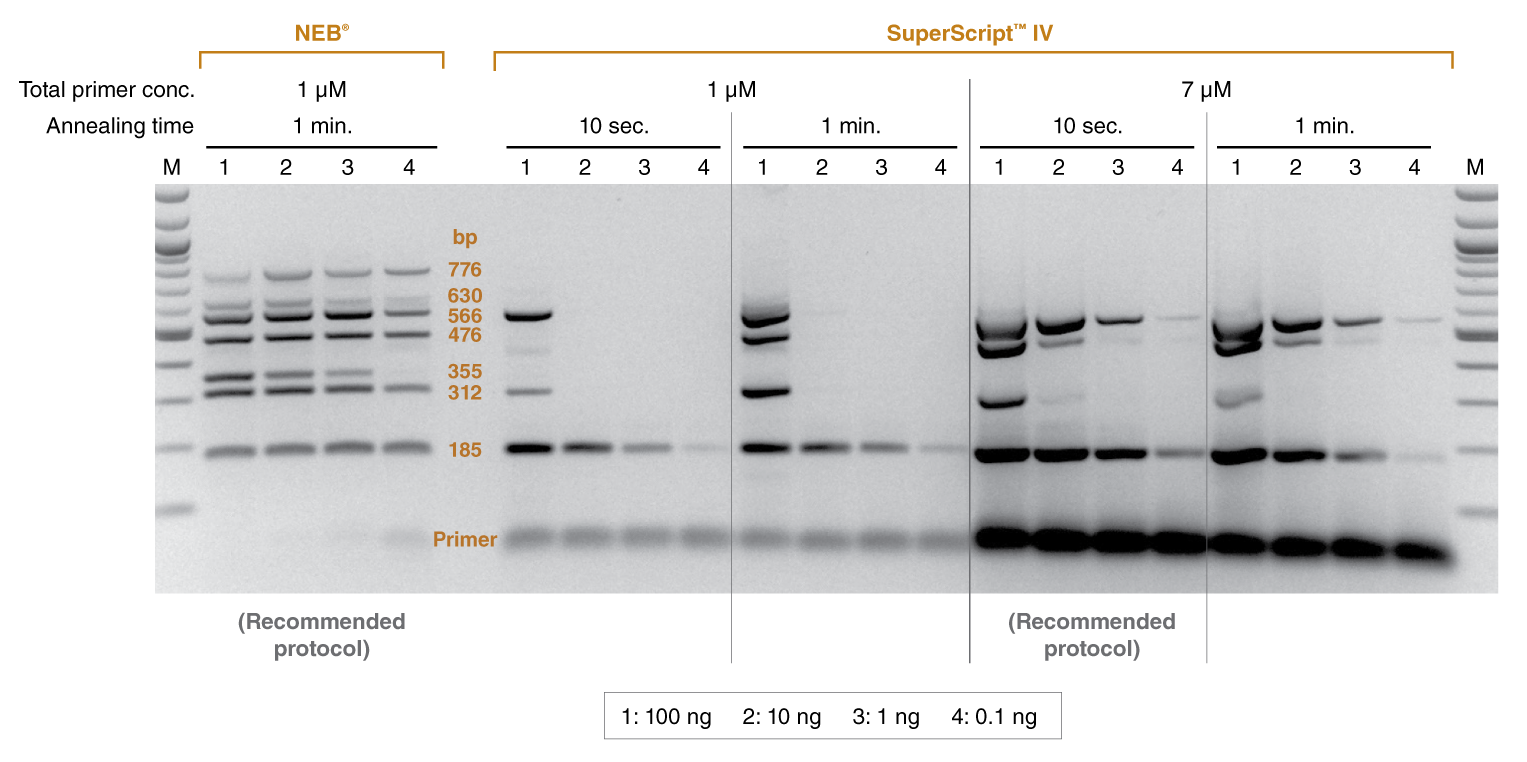 LunaScript® 一步法多重 RTPCR 试剂盒 NEB