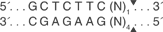 Sap-I-cutsite_1