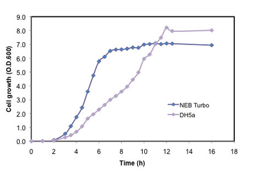 Growth curve of NEB Turbo vs DH5α at 37°C in shaking flask: