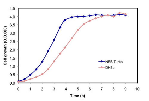 Growth curve of NEB Turbo vs DH5α at 37°C in fermentor