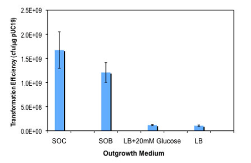 Effect of outgrowth medium on transformation efficiency: 