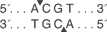 HpyCH4-IV-cutsite_1_v1_000022