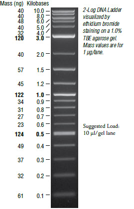 dna log2 ladder kb) 2 Load® (0.1 Ladder Quick DNA 10.0 Purple Log NEB dna log2 ladder kb) 2 Load® (0.1 Ladder Quick DNA 10.0 Purple Log NEB