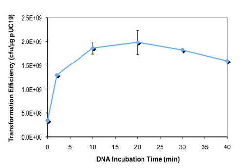 Effect of DNA incubation time on NEB 5-alpha F´Iq competent E.coli transformation efficiency: 