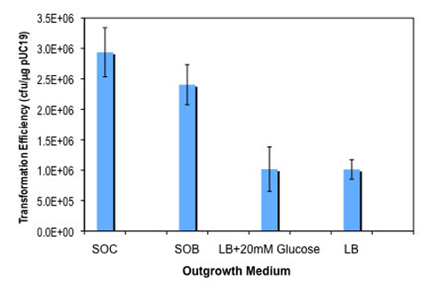 Effect of outgrowth medium on transformation efficiency: 