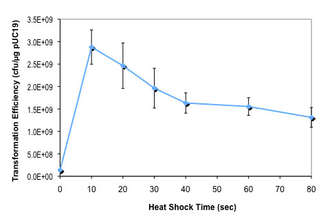 Effect of heat shock time on T7 Express lysY competent E.coli transformation efficiency