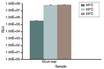 Figure 3: Stability of Gaussia Luciferase at various temperatures.