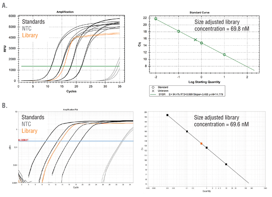 Quant description