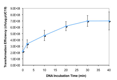Effect of DNA incubation time on T7 Express competent E. coli transformation efficiency