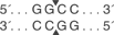 Hae-III-cutsite_1