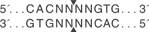 Ale-I-cutsite_1_v1_000007.gif