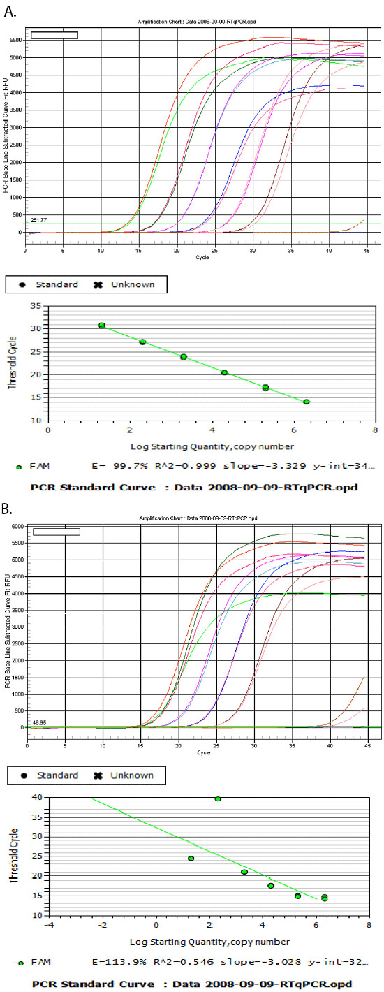 Random Primer Mix NEB