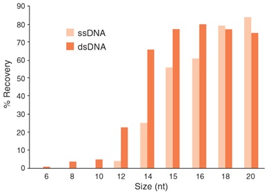 kits for dna cleanup and gel extraction