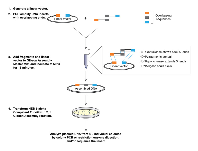 download lignocellulosic