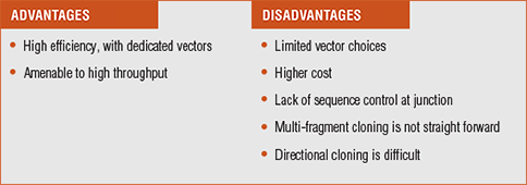 Essay on cloning advantage and disadvantage