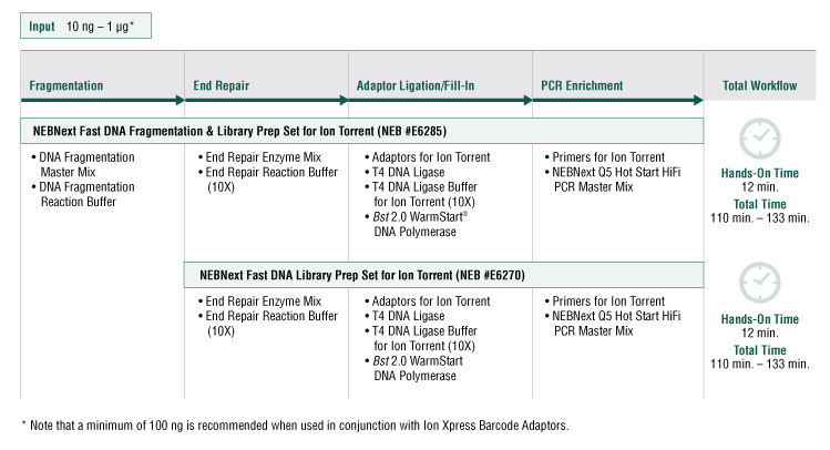ion torrent workflow dna for ion torrent neb ion torrent workflow dna for ion torrent neb