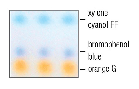 DNA Markers & Ladders Information | NEB sequence diagram format 