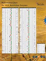 neb catalog amp literature request neb fermentas restriction enzyme chart