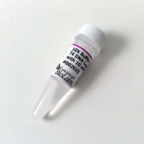 T4 DNA Ligase Reaction Buffer