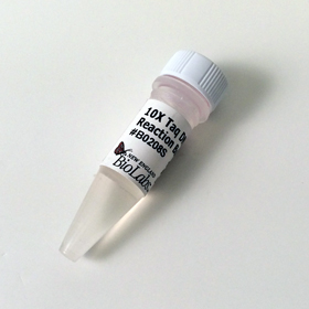 Taq DNA Ligase Reaction Buffer
