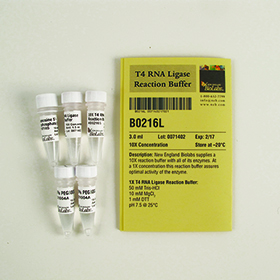 T4 RNA Ligase Reaction Buffer
