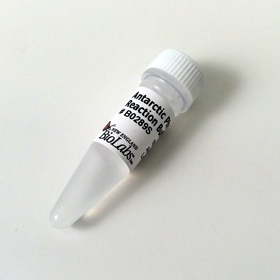 Antarctic Phosphatase Reaction Buffer